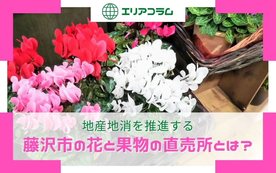 地産地消を推進する藤沢市の花と果物の直売所とは?の画像