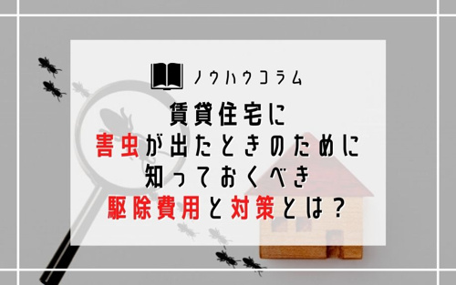 賃貸住宅に害虫が出たときのために知っておくべき駆除費用と対策とは？