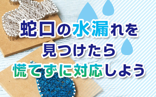 蛇口の水漏れを見つけたら慌てずに対応しようの画像