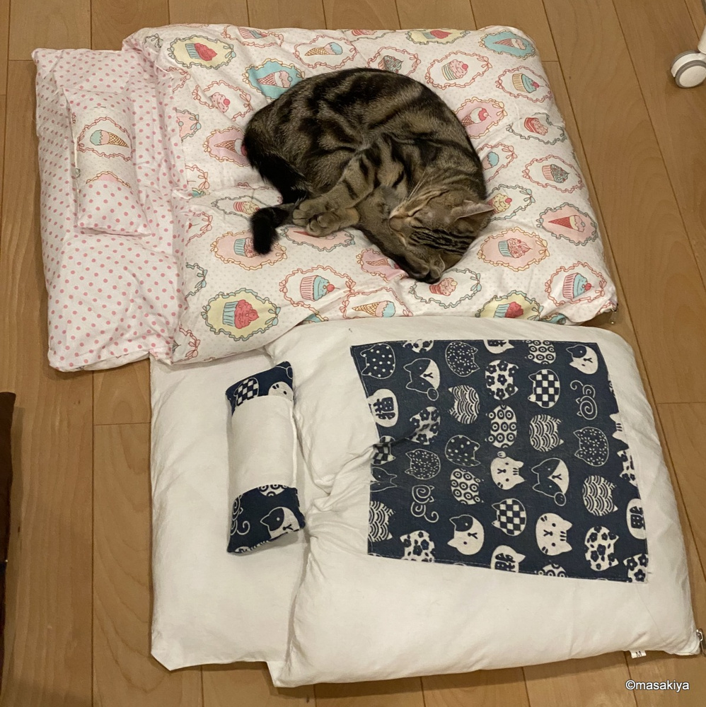 色々な寝方の画像