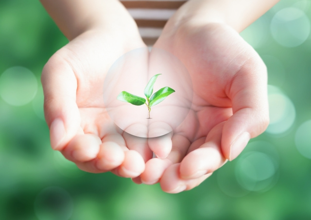 冷蔵庫でもできる！家庭の省エネ術