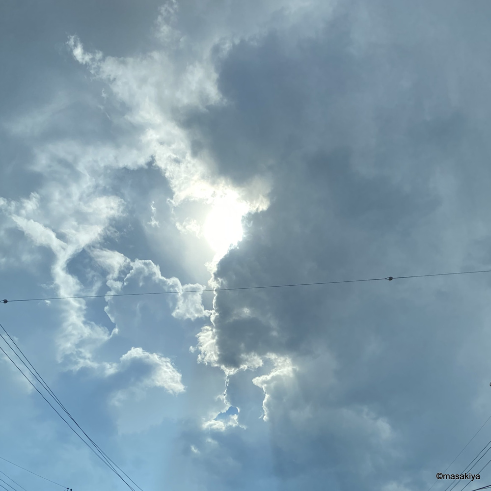 大雨の画像