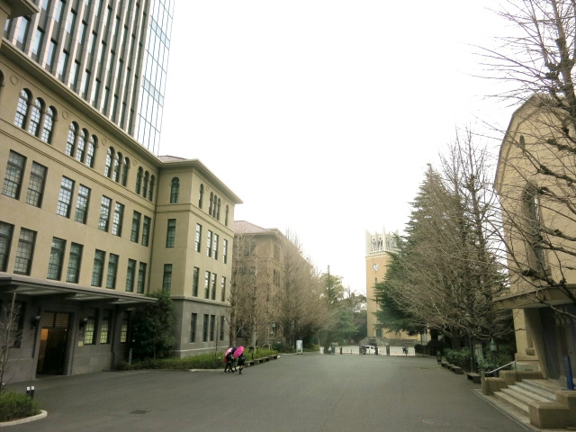 新宿周辺のおすすめ文化スポット早稲田大学 會津八一記念博物館とは？の画像