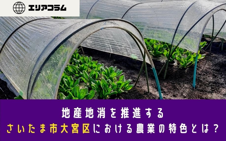 地産地消を推進するさいたま市大宮区における農業の特色とは？の画像