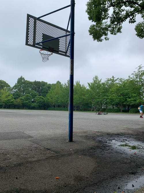 梅雨の晴れ間にの画像