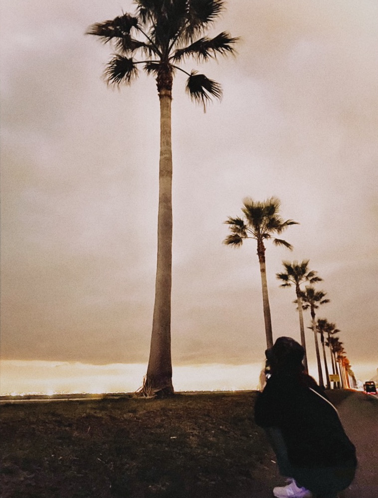 千葉県のドライブスポットの画像