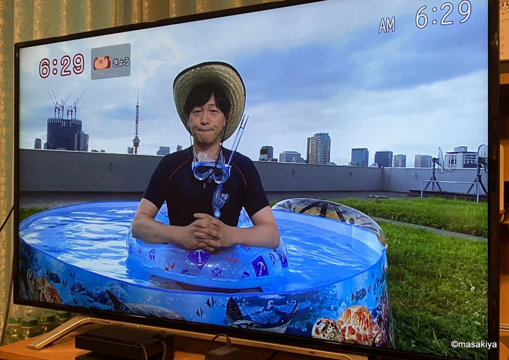 朝からプールの画像