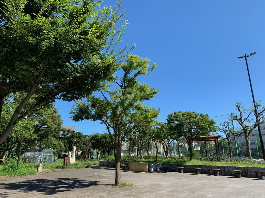 Attention!!の画像
