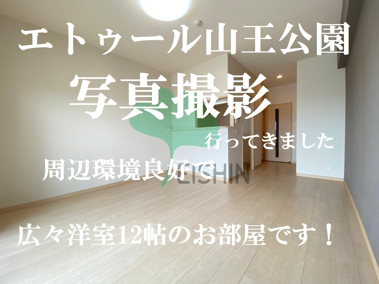 山王エリア×洋室12帖×7万円程ご希望の方必見!の画像