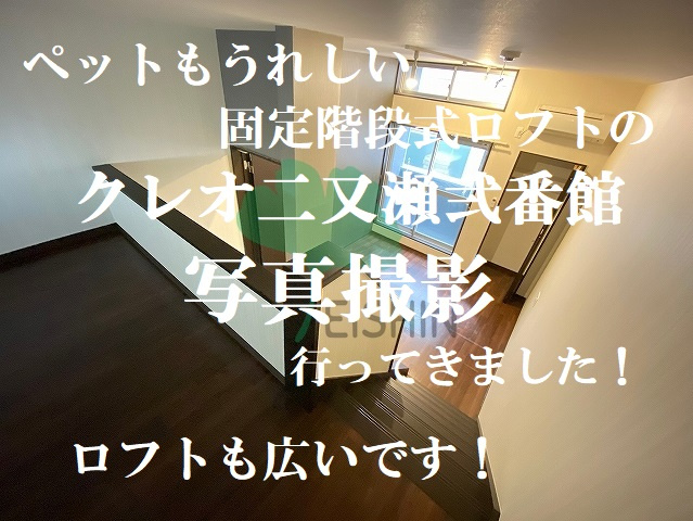 固定階段ロフト×ペット可×5万円以内お探しの方必見の画像