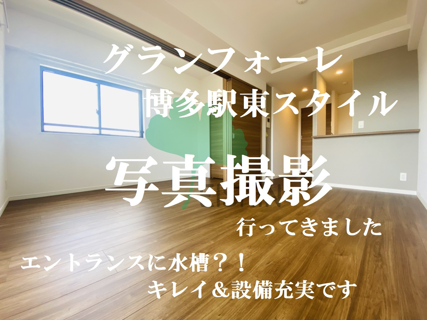 東比恵×ペット×1LDK×7万円程お探しの方必見!の画像