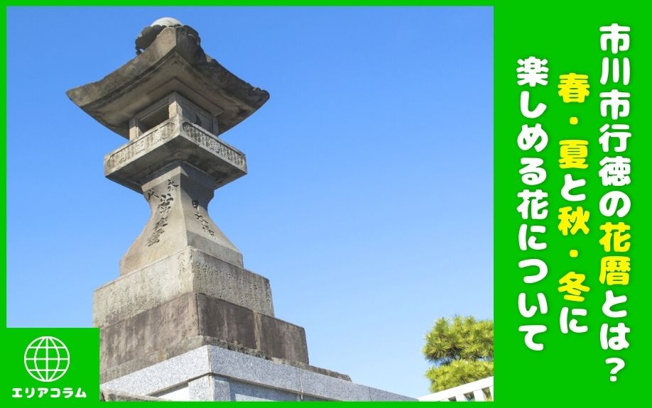 市川市行徳の花暦とは?春・夏と秋・冬に楽しめる花についての画像