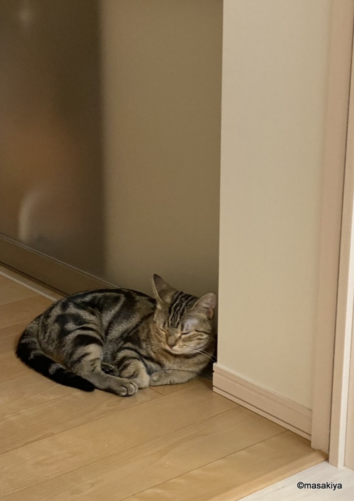お風呂待ちの画像