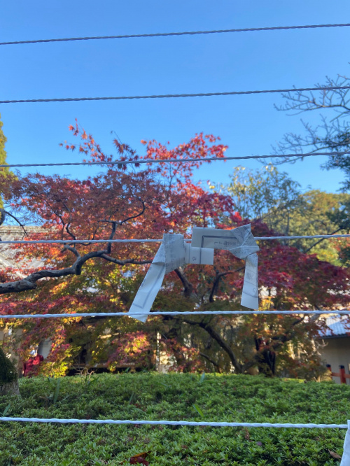 夜にお散歩ぶらり旅～(^^)の画像