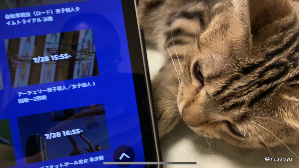 目の画像