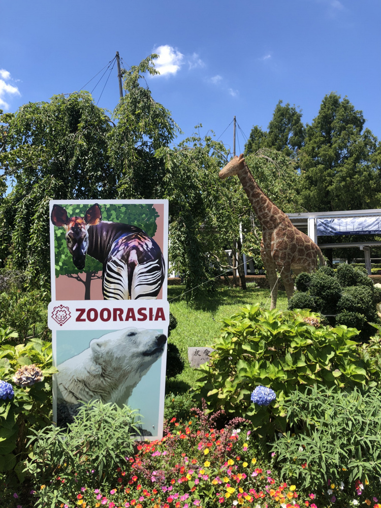 ズーラシアの画像