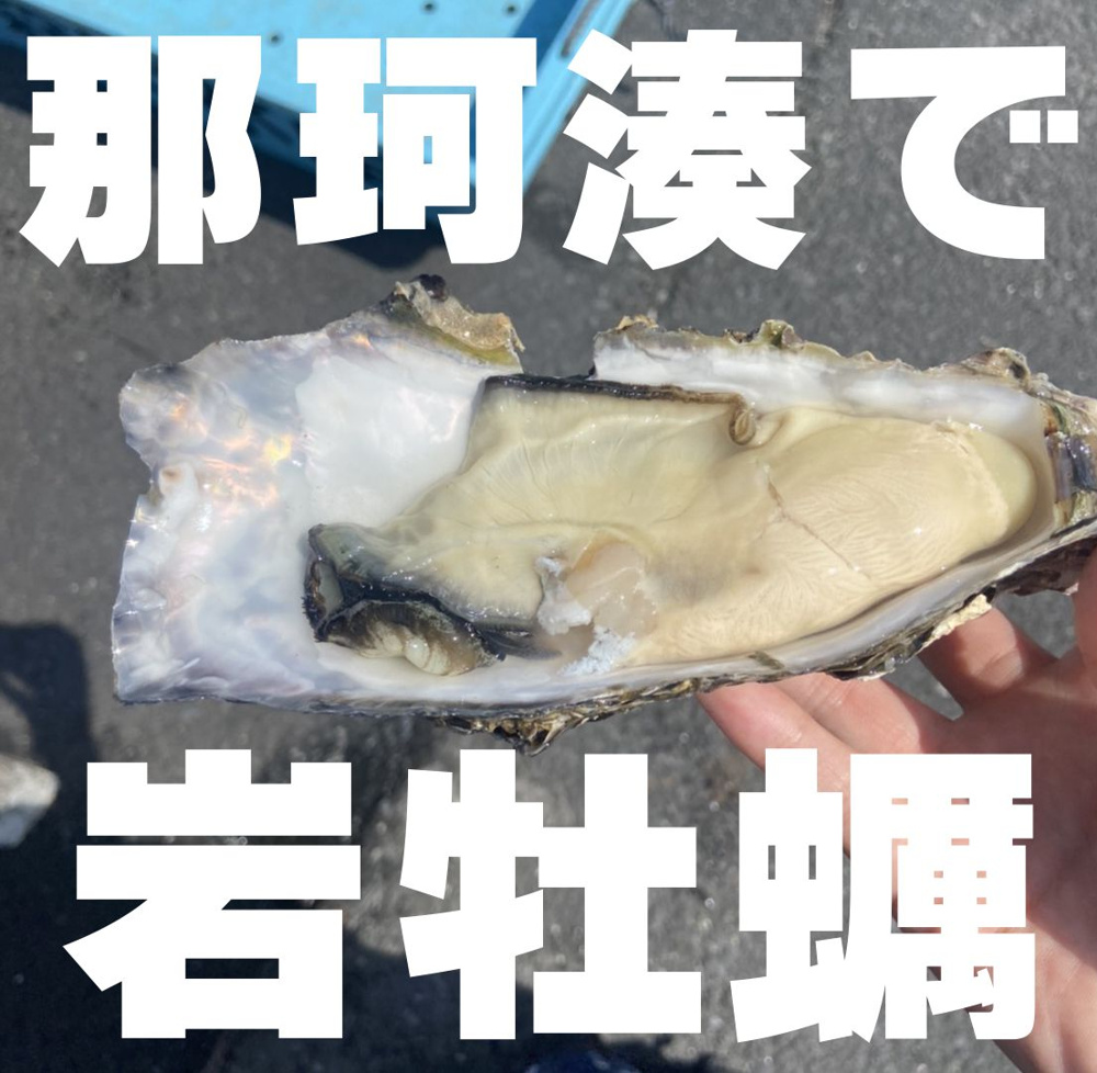 ７月３０日：那珂湊で岩牡蠣の画像