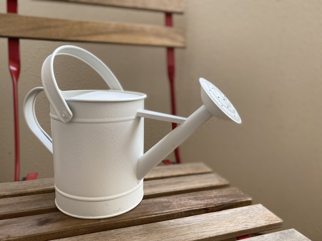 10：植物を育てている人は水やりにも注意