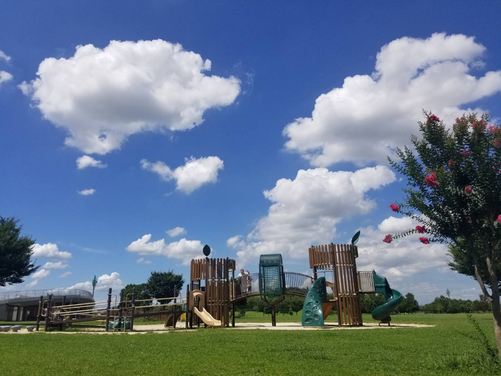 ８月５日：まつぶし緑の丘公園の画像
