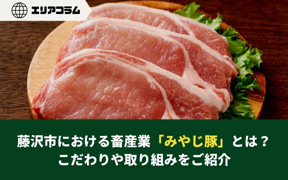 藤沢市における畜産業「みやじ豚」とは？こだわりや取り組みをご紹介の画像