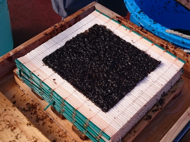 大田区の博物館に行っていろいろな勉強をしてみようの画像