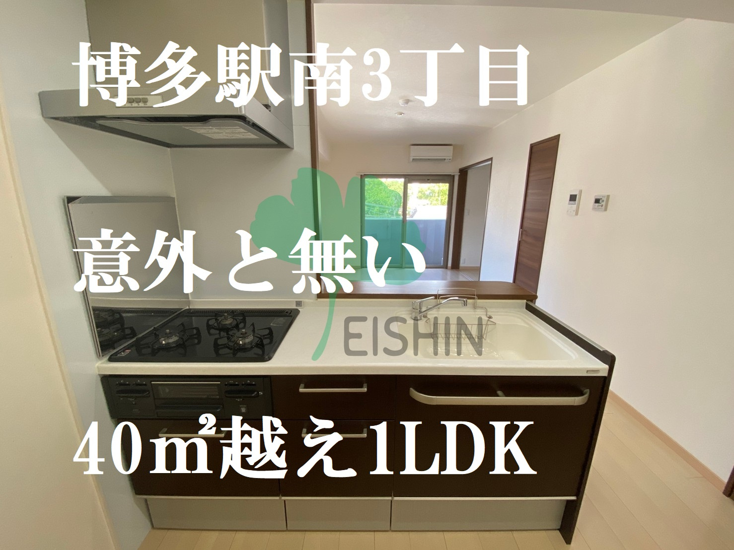 意外と少ない駅南3丁目40㎡越え1LDK・8万円!の画像