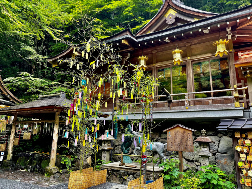 京都のおすすめスポットの画像