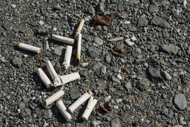 ゴミ拾いで思うこと　の画像