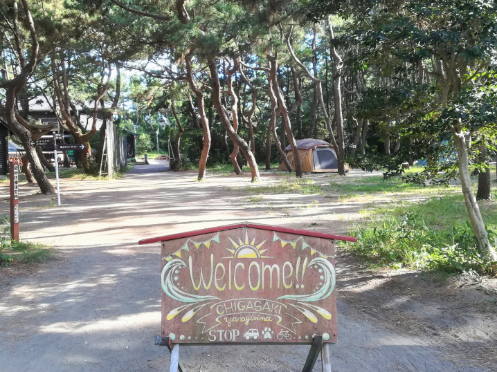 茅ヶ崎キャンプ（2021.8.9）の画像