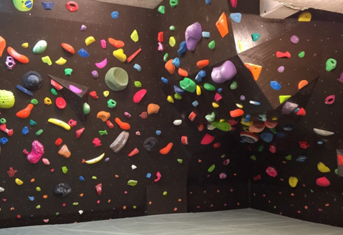 Everfree Climbing Gym 中野区の戸建て 東京プロス Everfree Climbing Gym 中野区の戸建て 東京プロス