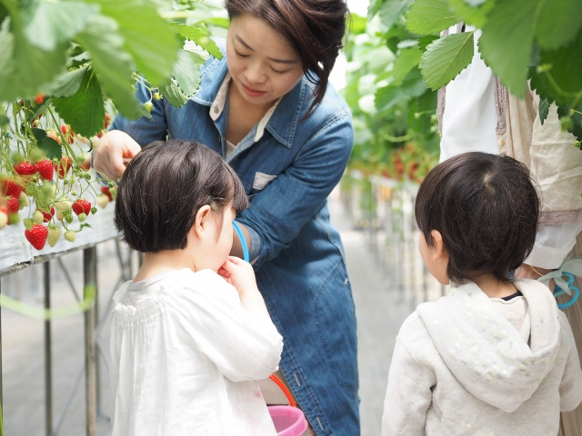 長野県伊那市でおすすめの人気観光スポットはどこ？の画像