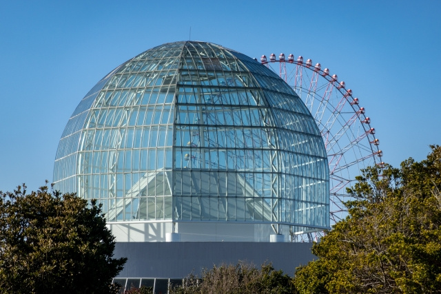 江戸川区の東京都葛西臨海水族園は子どもが喜ぶ施設！魅力や見どころとは？の画像