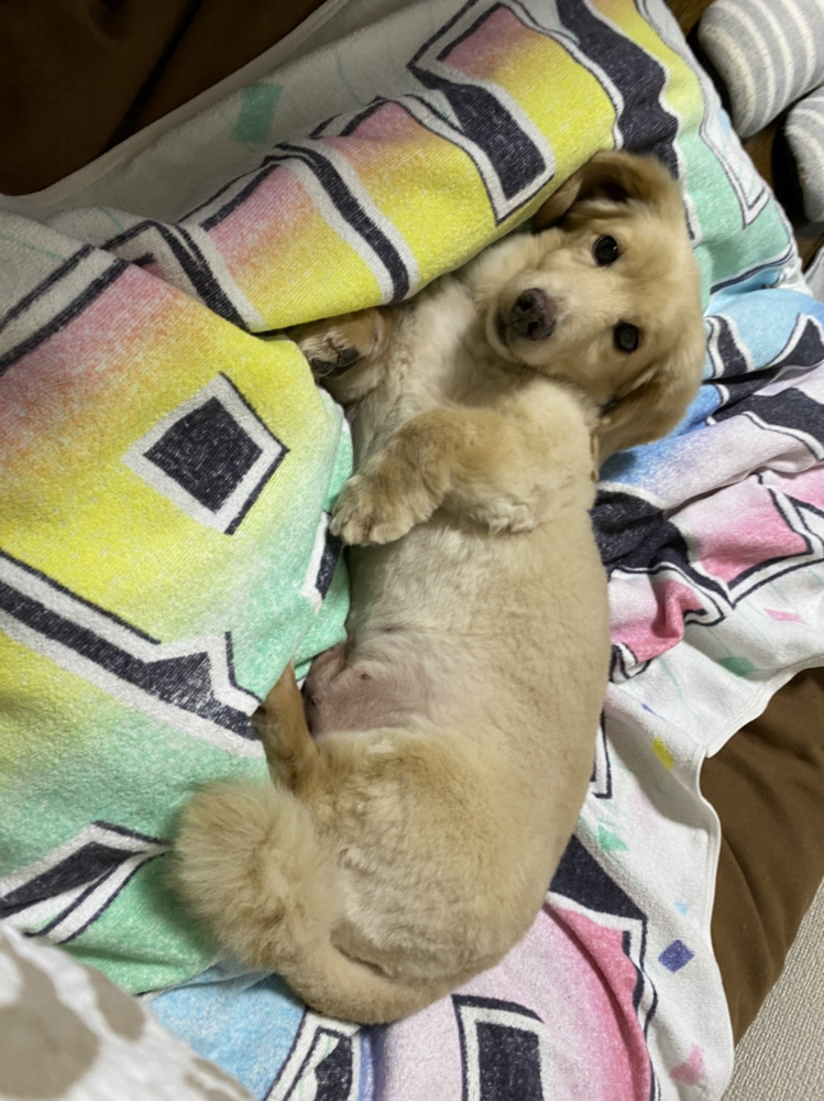 お盆休みいかがお過ごしですか(*^^)v？の画像