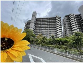 住道駅　徒歩　ペット可　アメリア2番館の画像