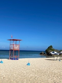 8月なのに寒い・・・の画像