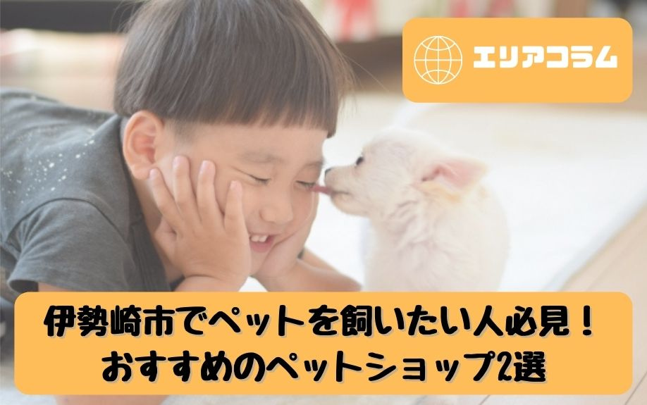 伊勢崎市でペットを飼いたい人必見！おすすめのペットショップ2選