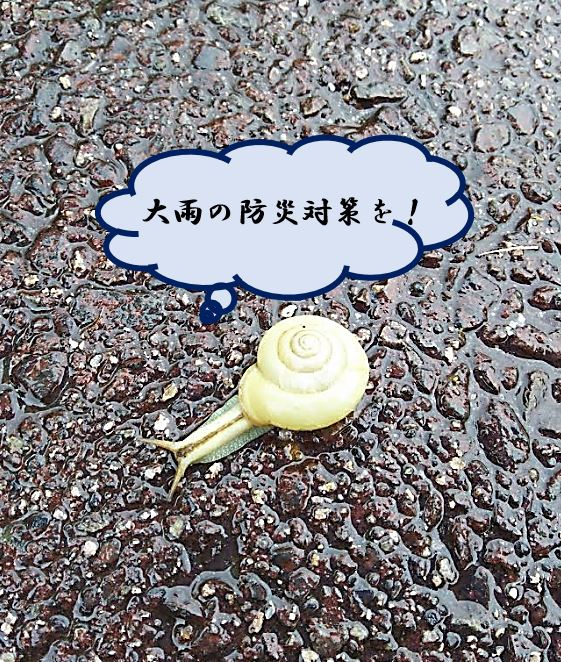 大雨の防災対策は何が必要？大きな被害を受ける前にやっておきたいことの画像
