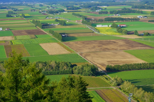 市街化調整区域にある不動産の任意売却はできるのか？その方法とは？