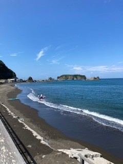 束の間の癒し。。。の画像