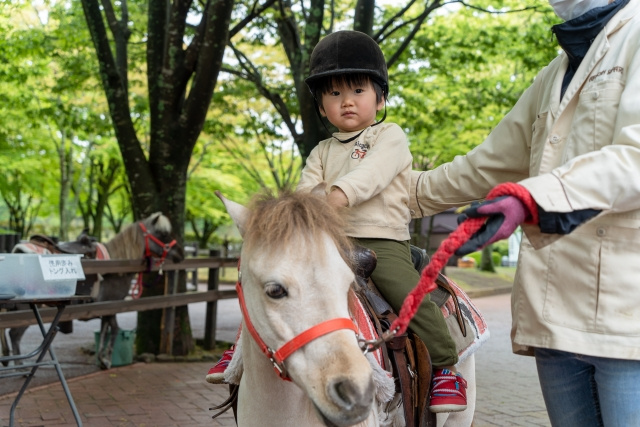 南アルプス市乗馬センターで外遊び!ホースセラピーやアクティヴィティも体験!の画像