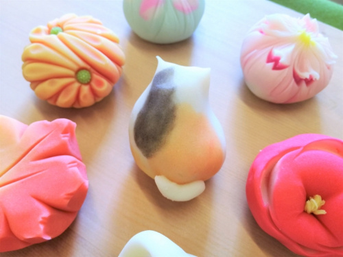 家族で楽しめる松江市の体験施設「カラコロ工房」でできる体験