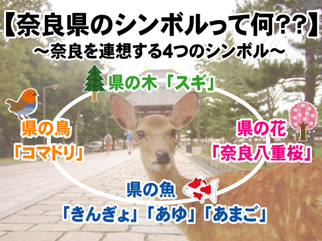 【奈良県のシンボルとは！？】花・木・鳥・魚の由来について