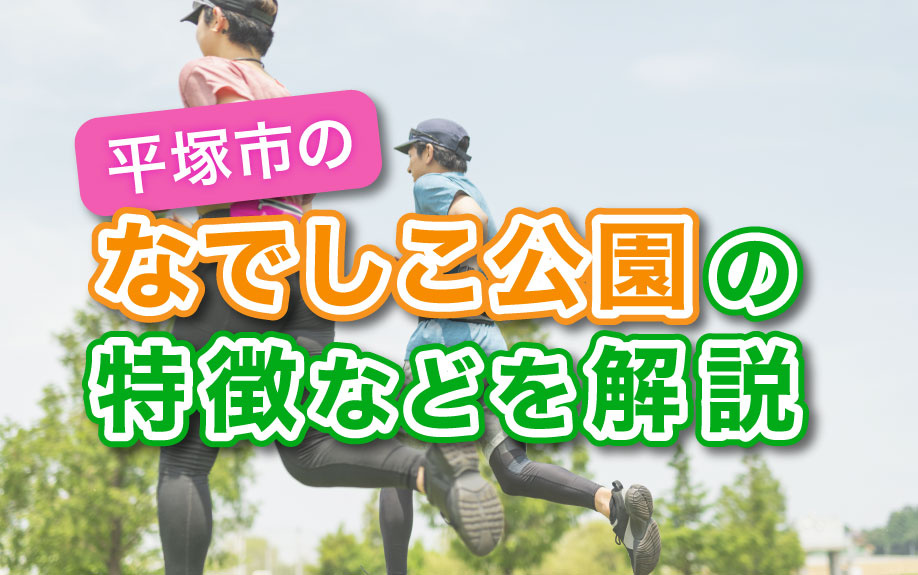 平塚市のなでしこ公園の特徴の画像