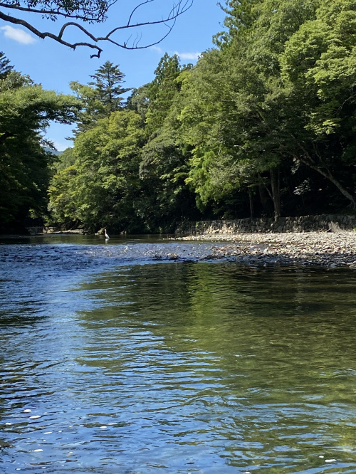 夏休みの画像