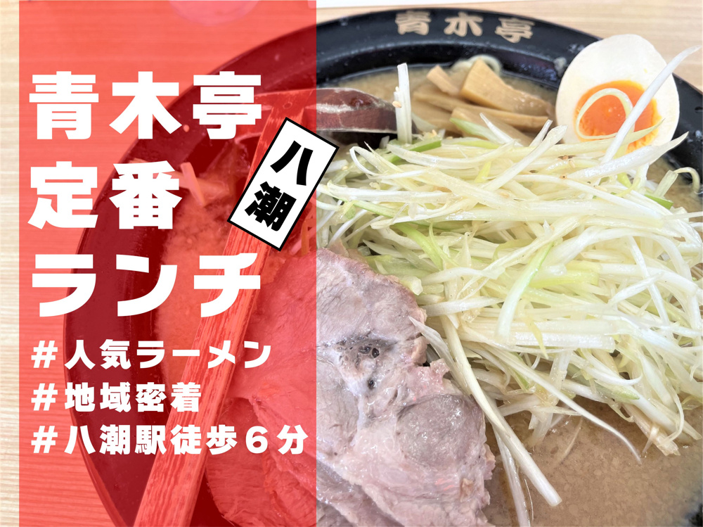 【八潮市】大瀬5丁目（八潮駅徒歩6分）にある「青木亭八潮店」で定番（ネギチャーシュー）を食べてきました！！の画像