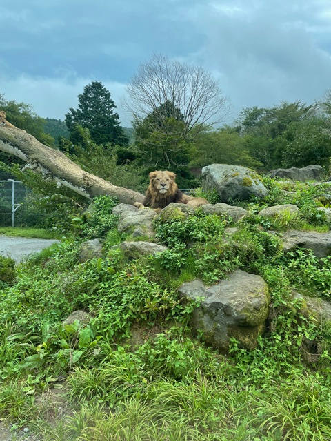 ワクチン接種完了です!の画像