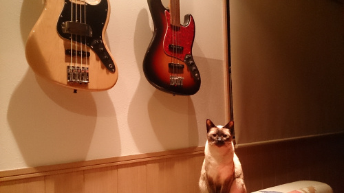 夢を語る努力をする。の画像