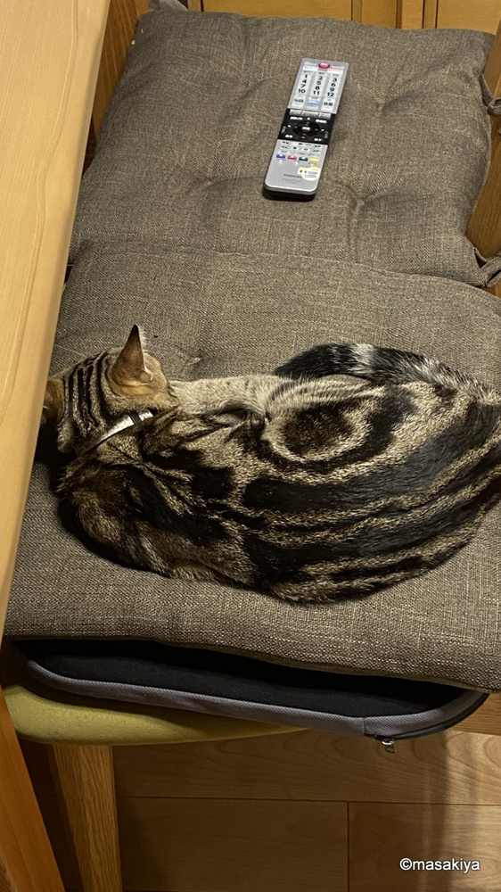 私の椅子の画像