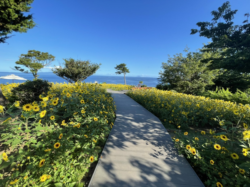 ノーサイドの精神の画像