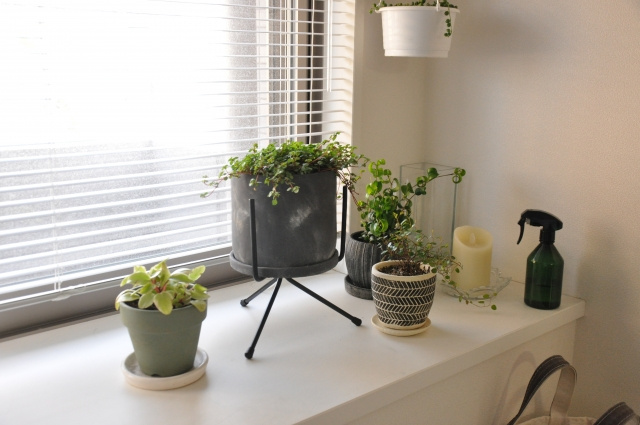 出窓つき賃貸物件はメリットだらけ？出窓の上手な活用方法とはの画像